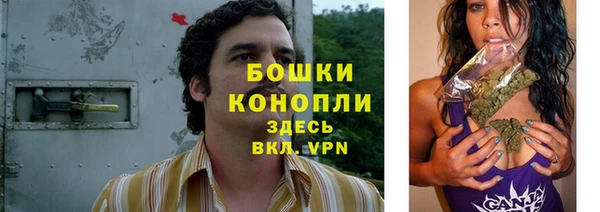 бутират Белокуриха