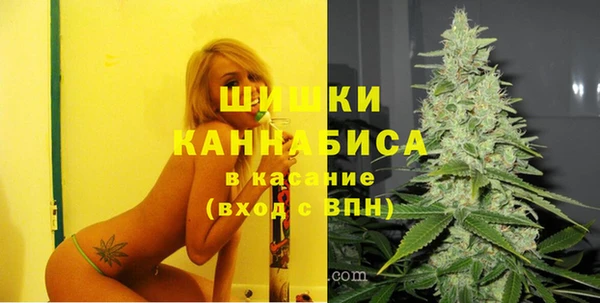 бутират Белокуриха