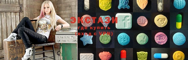 гидра Богданович