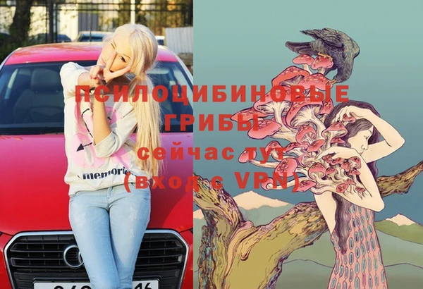 бутират Белокуриха