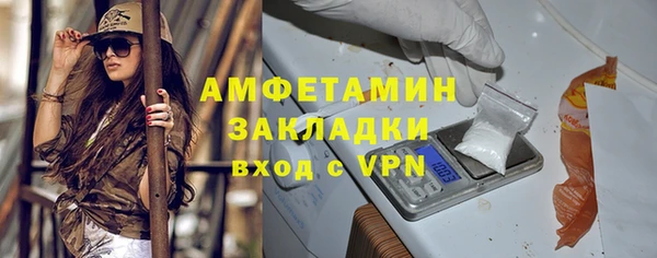гидра Богданович
