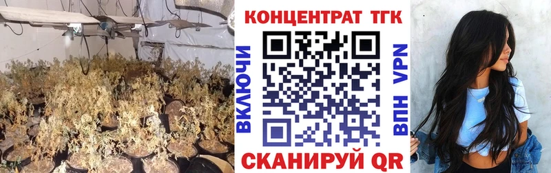где купить наркотик  Ясногорск  ТГК THC oil 